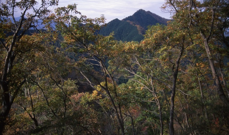 仏果山