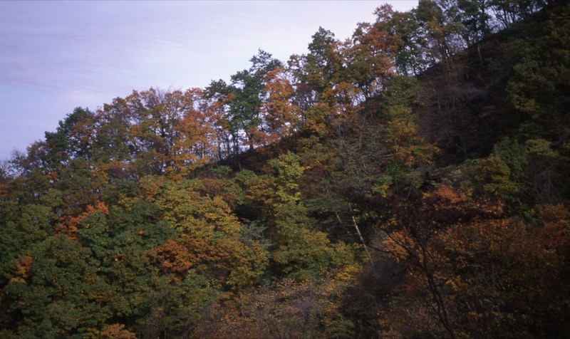 仏果山