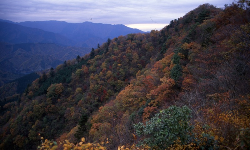 仏果山