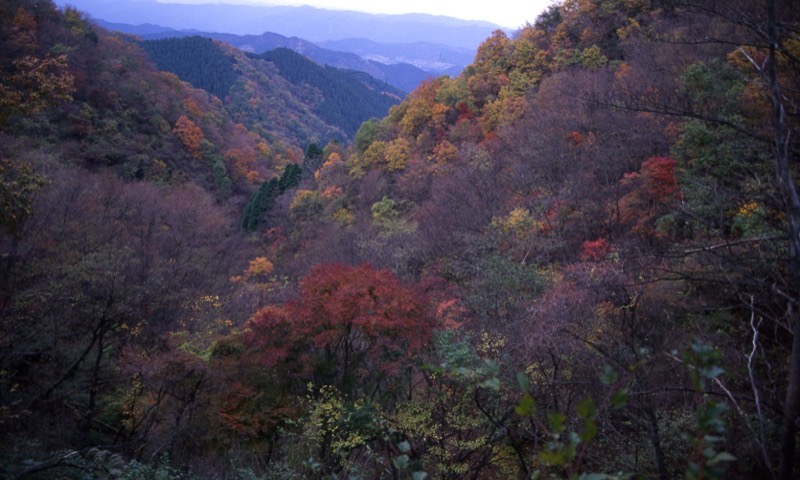 仏果山