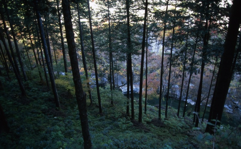 三峰山