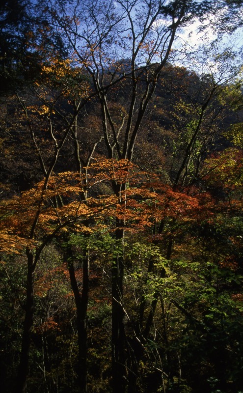 三峰山