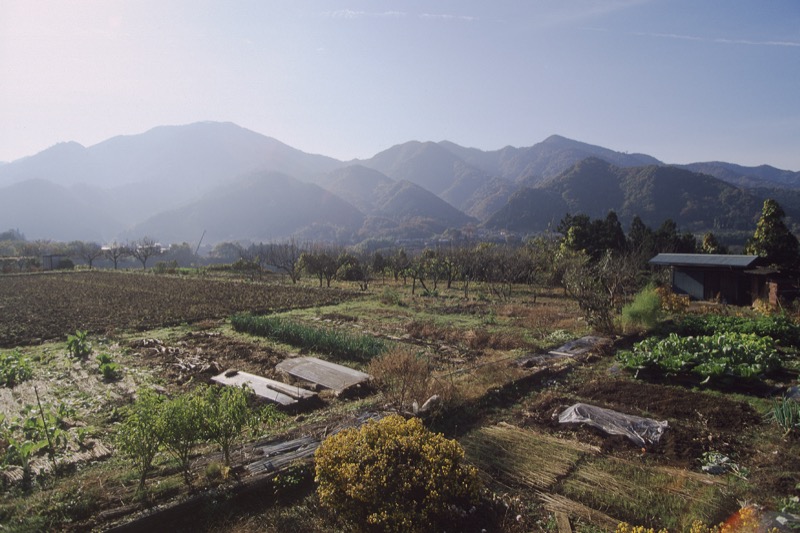 倉岳山