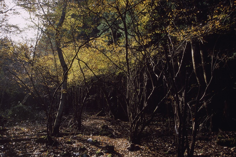 倉岳山