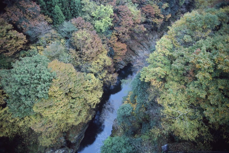 倉岳山