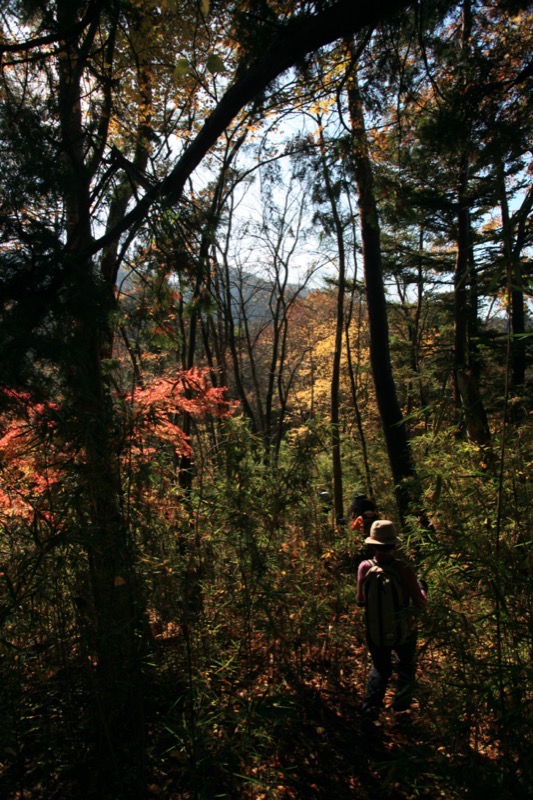 九鬼山