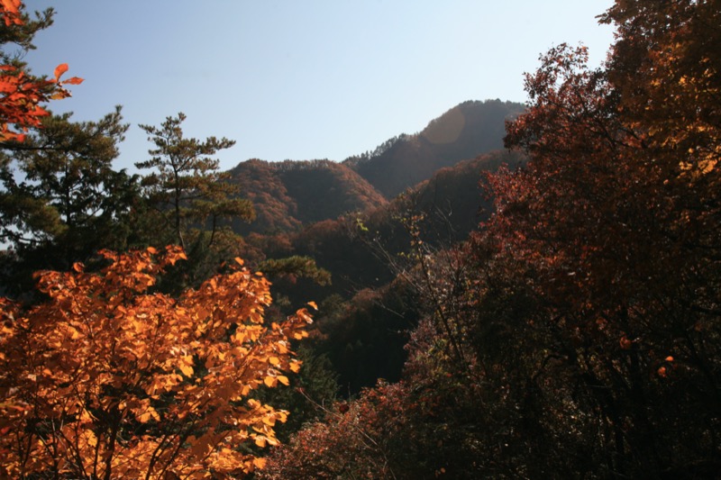 九鬼山