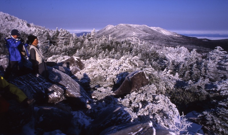 北八ヶ岳