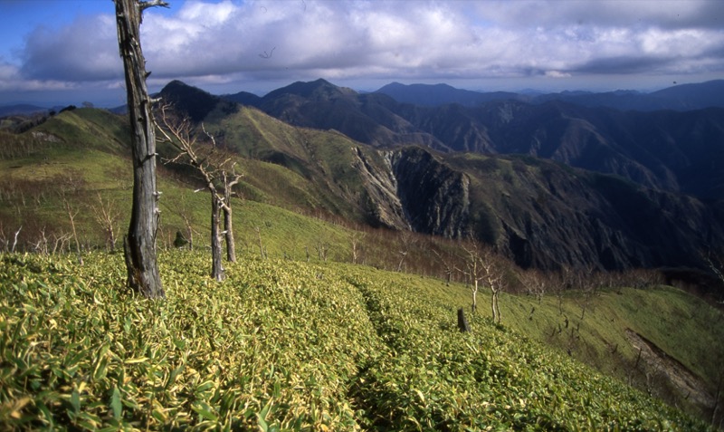 黒檜岳