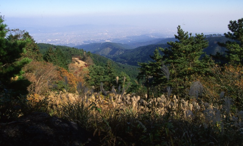 明神ヶ岳