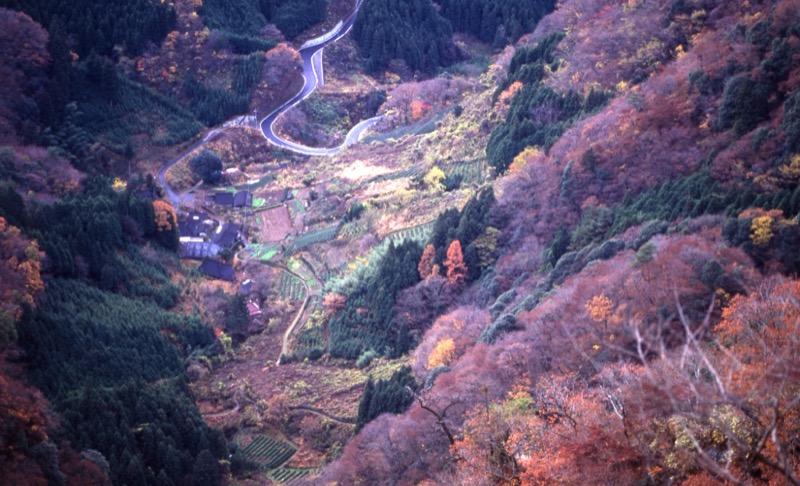 奥久慈・男体山