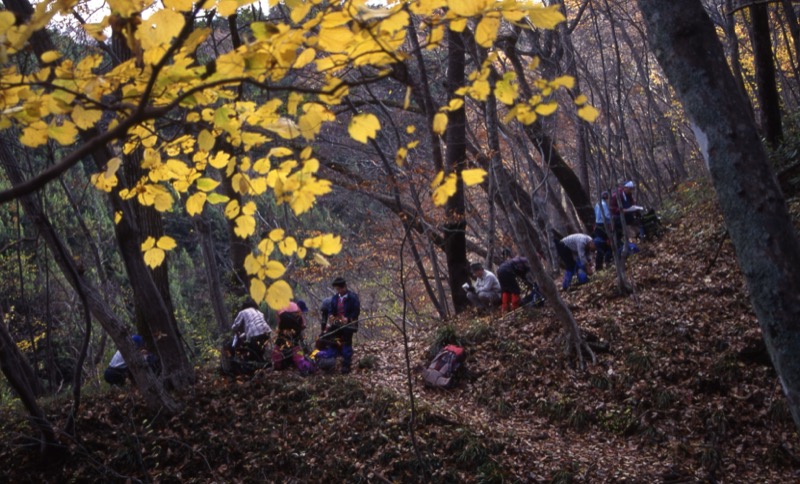 奥久慈・男体山