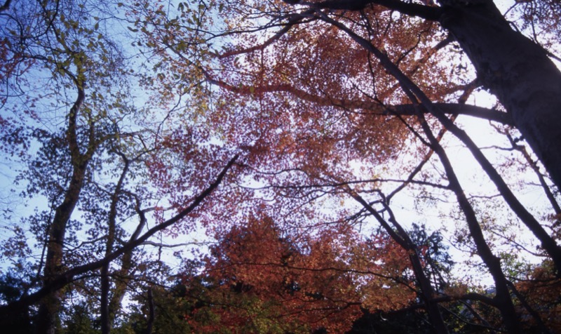 奥久慈・男体山