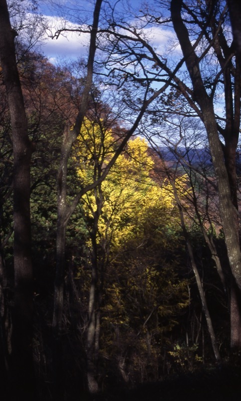 奥久慈・男体山