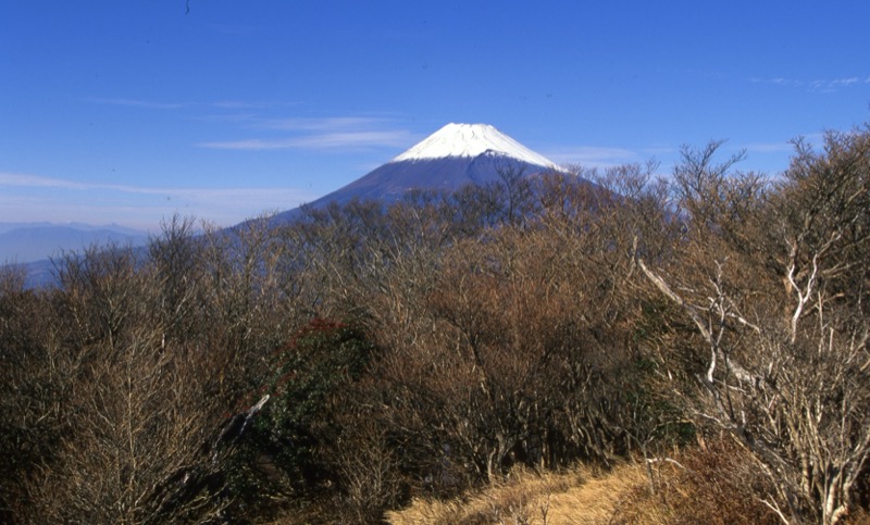 越前岳