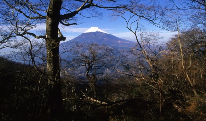 越前岳