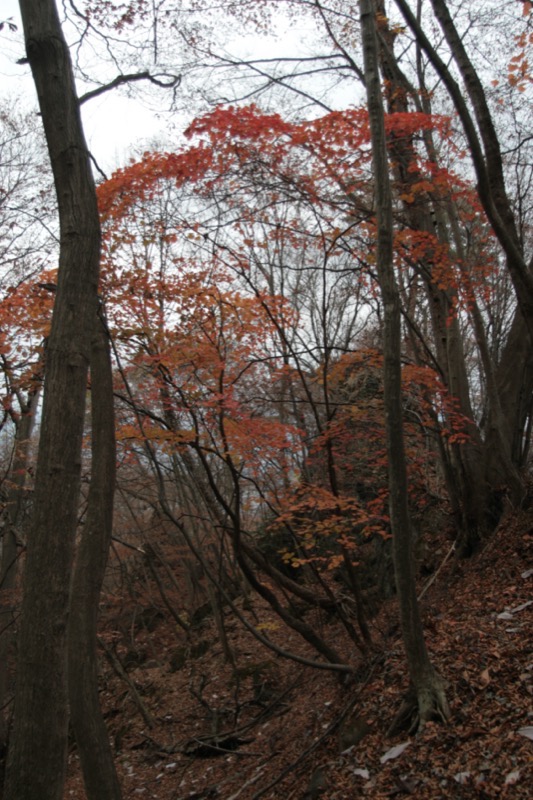 岩櫃山