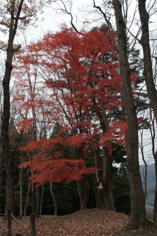 岩櫃山