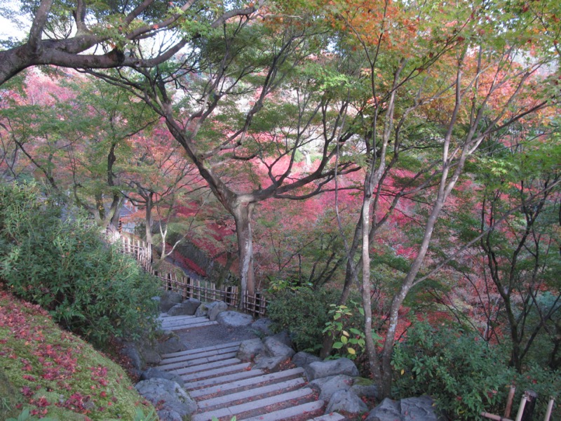 京都弾丸ツアー