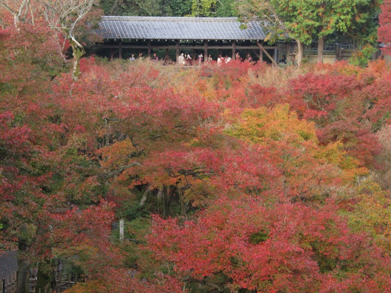 京都弾丸ツアー