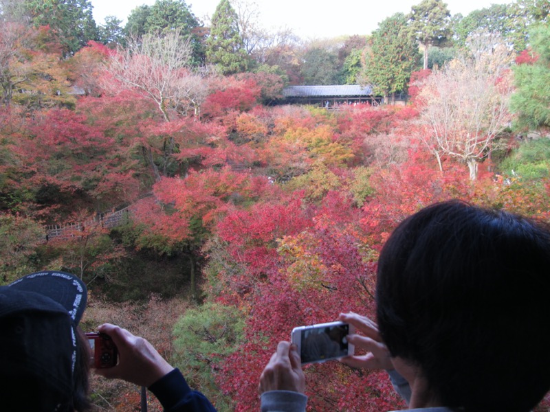 京都弾丸ツアー