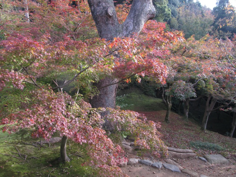 京都弾丸ツアー