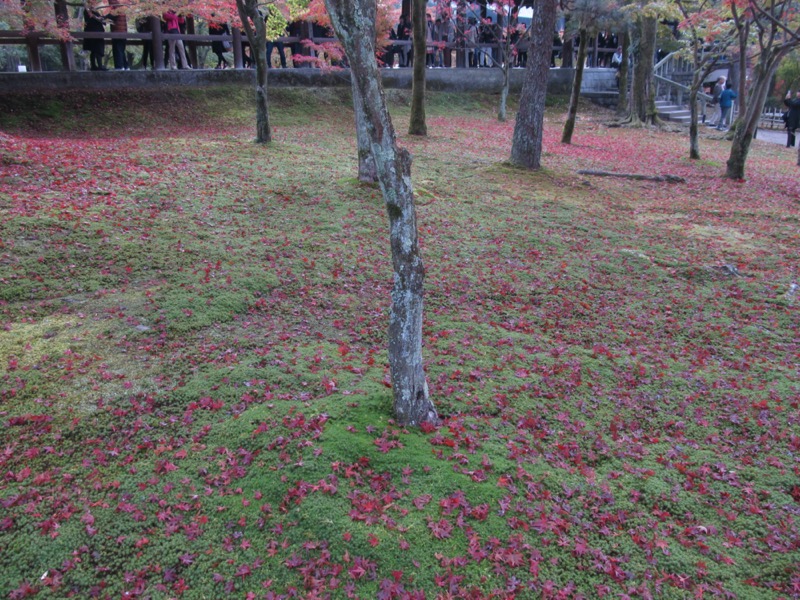 京都弾丸ツアー