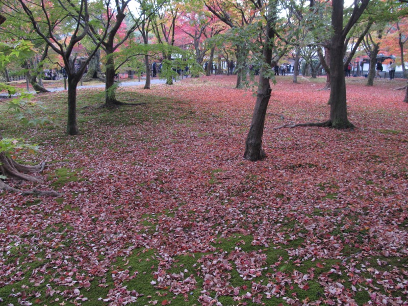 京都弾丸ツアー