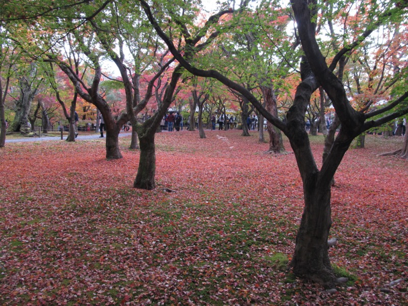 京都弾丸ツアー