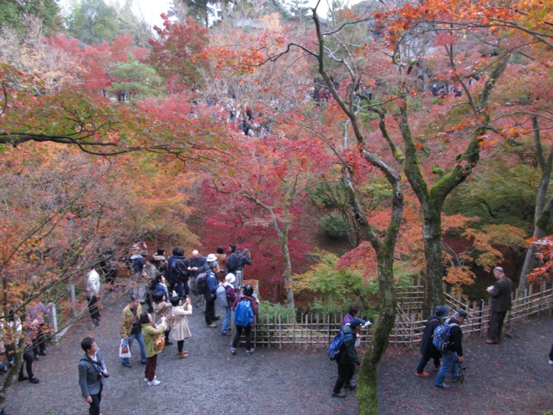 京都弾丸ツアー