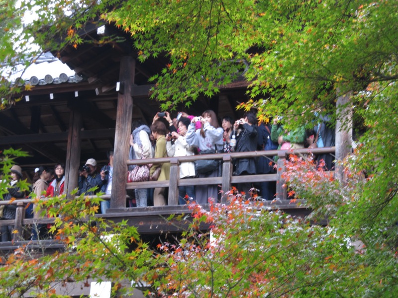 京都弾丸ツアー