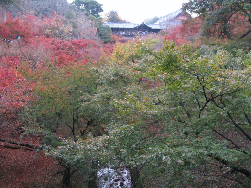 京都弾丸ツアー