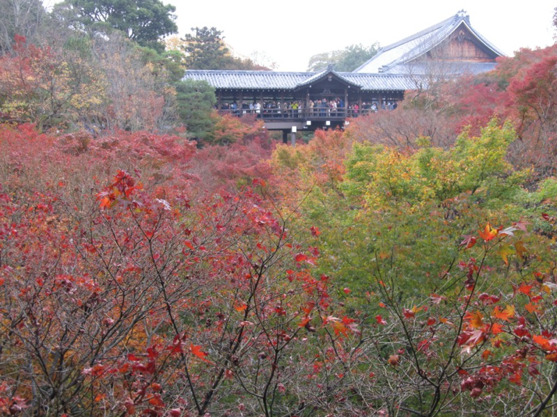 京都弾丸ツアー