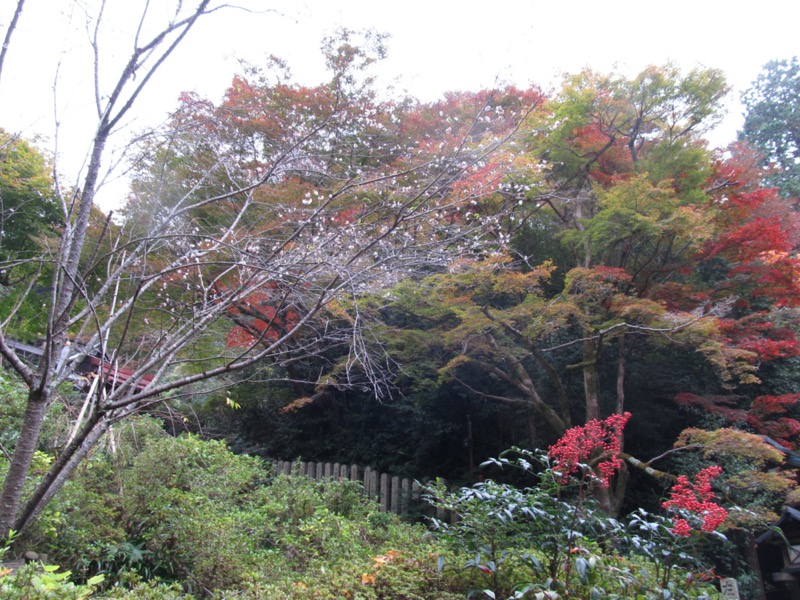 京都弾丸ツアー