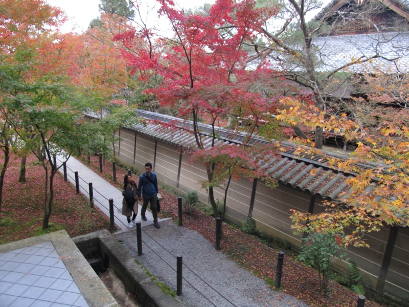 京都弾丸ツアー