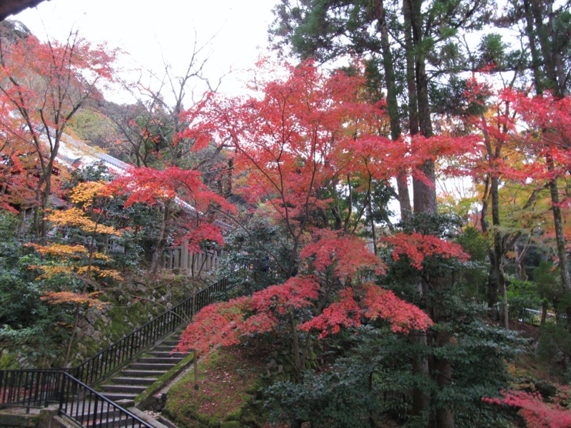 京都弾丸ツアー