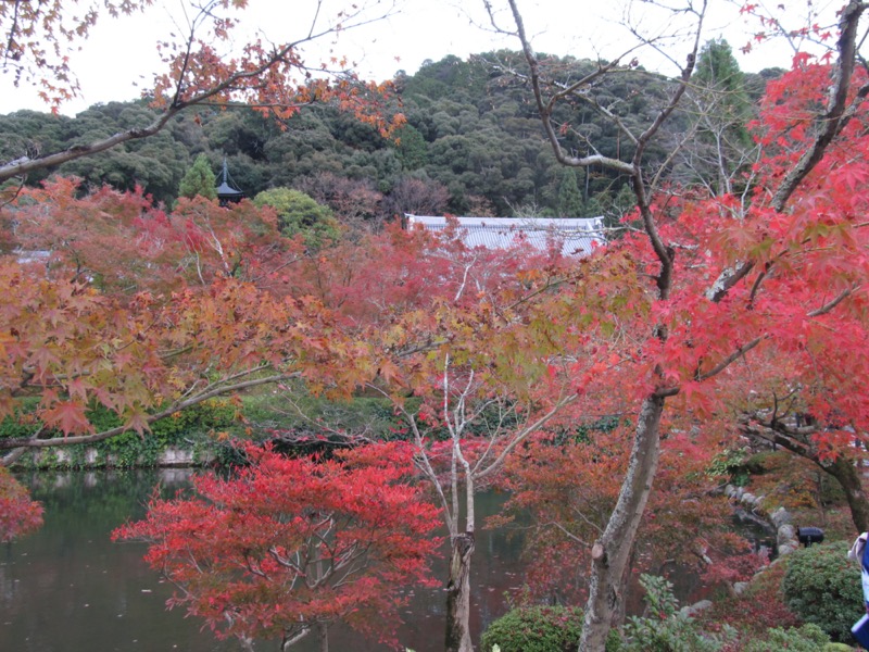 京都弾丸ツアー