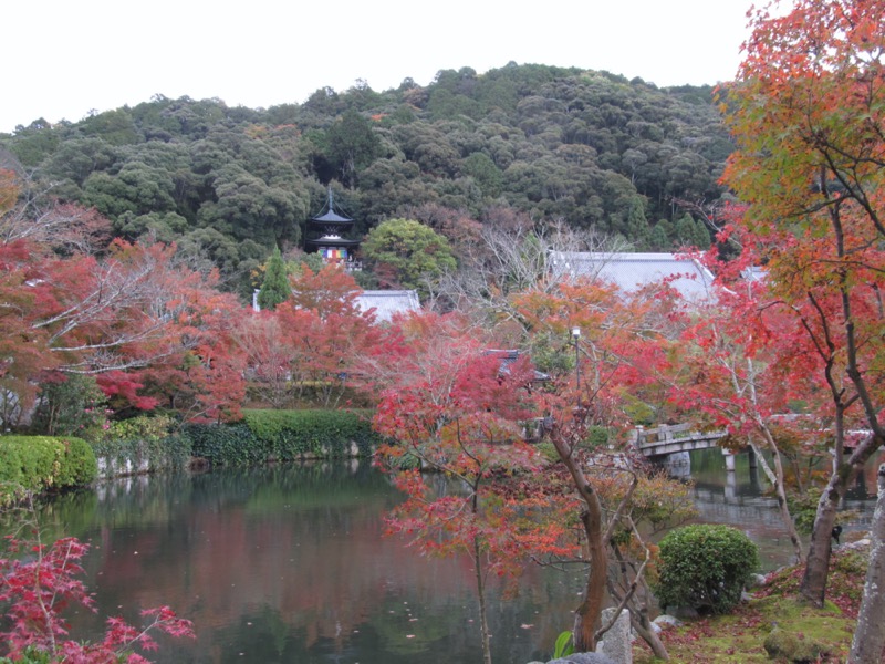 京都弾丸ツアー