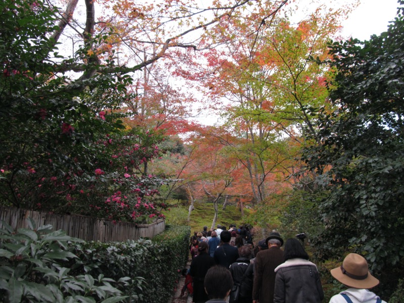 京都弾丸ツアー