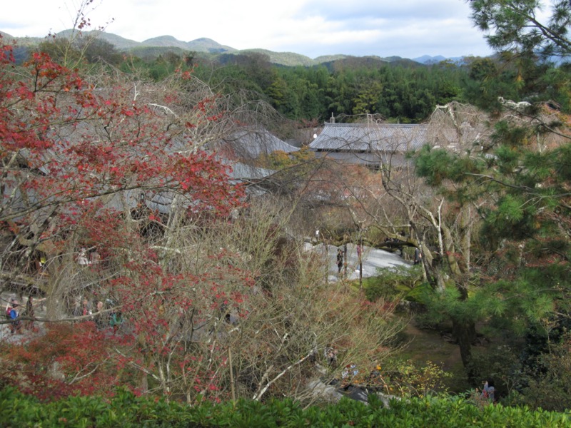 京都弾丸ツアー