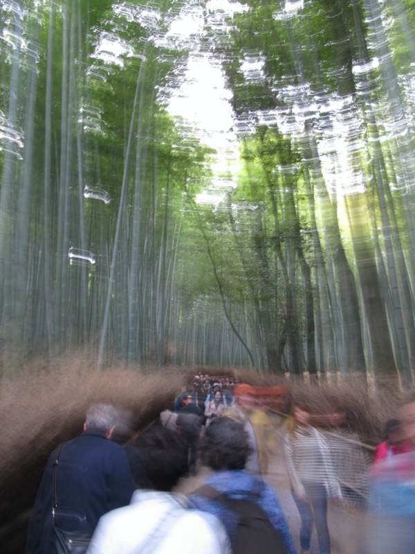 京都弾丸ツアー