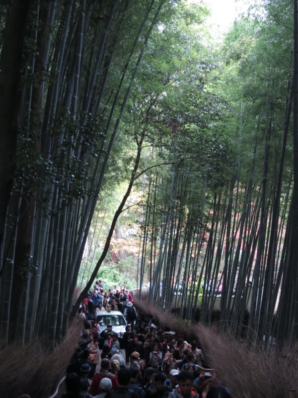 京都弾丸ツアー