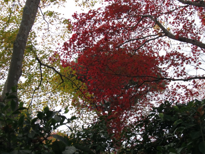 京都弾丸ツアー