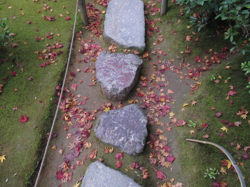 京都弾丸ツアー