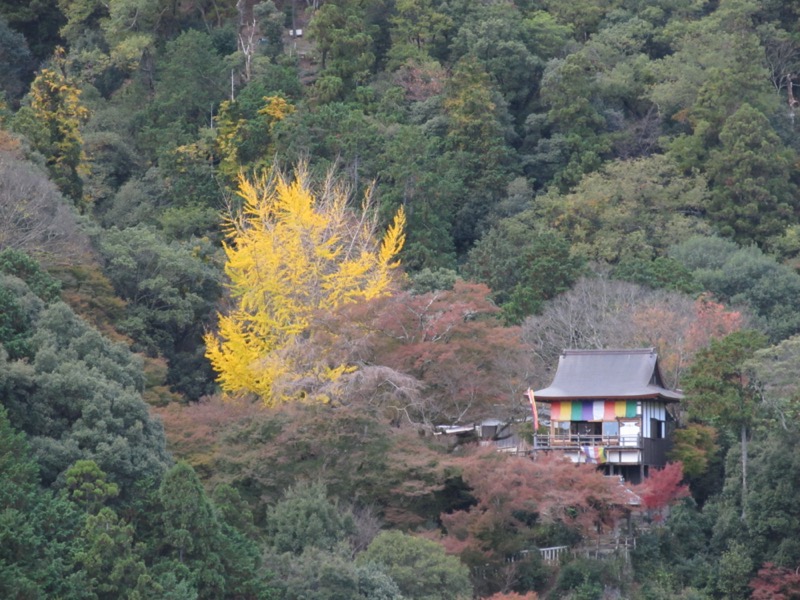 京都弾丸ツアー