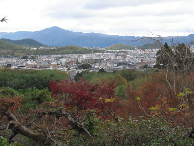 京都弾丸ツアー