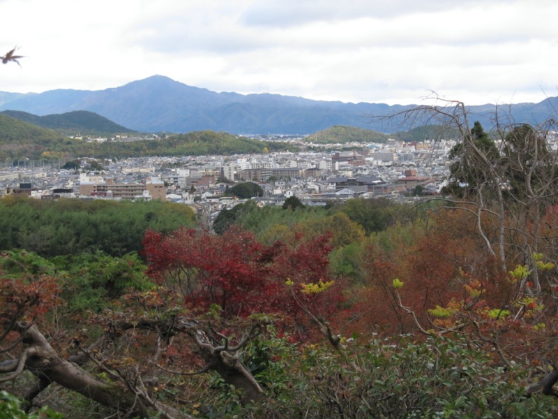 京都弾丸ツアー