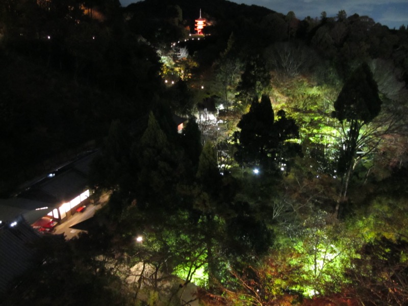 京都弾丸ツアー