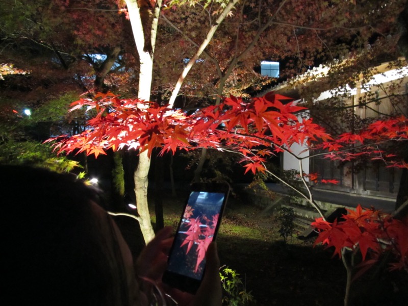 京都弾丸ツアー