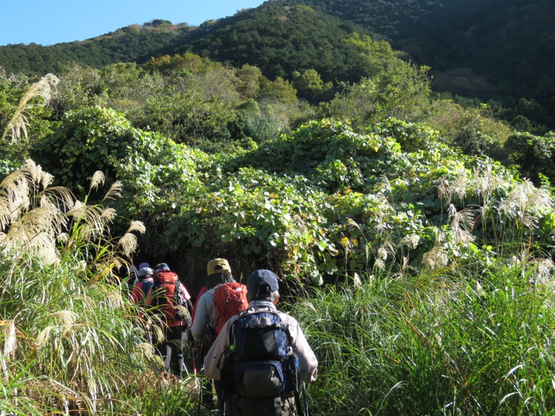 発端丈山